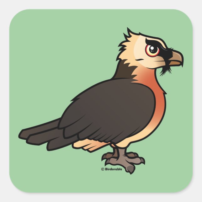 Cute Lammergeier Square Sticker (Front)