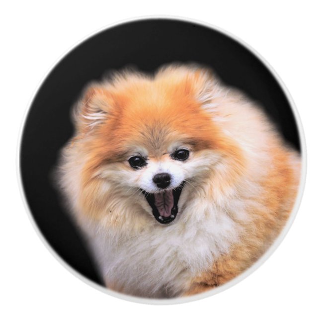 Cute Laughing Pomeranian Dog Ceramic Knob (Front)