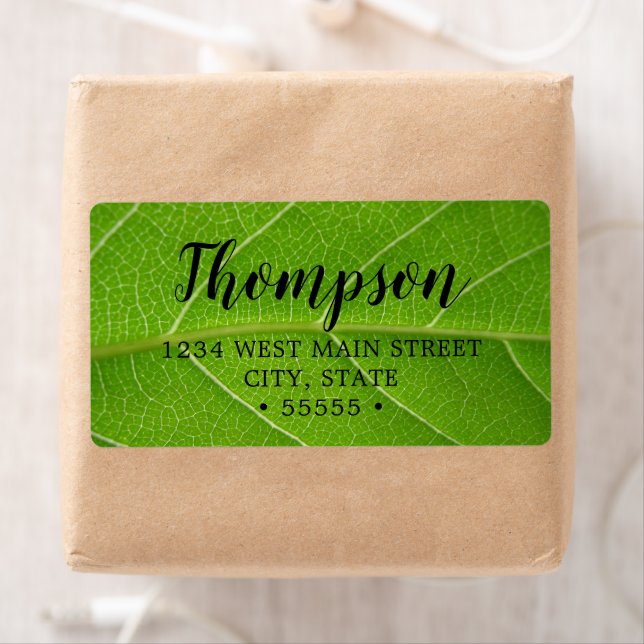 Cute Leafy Greens Close up of Green Leaf (Insitu)