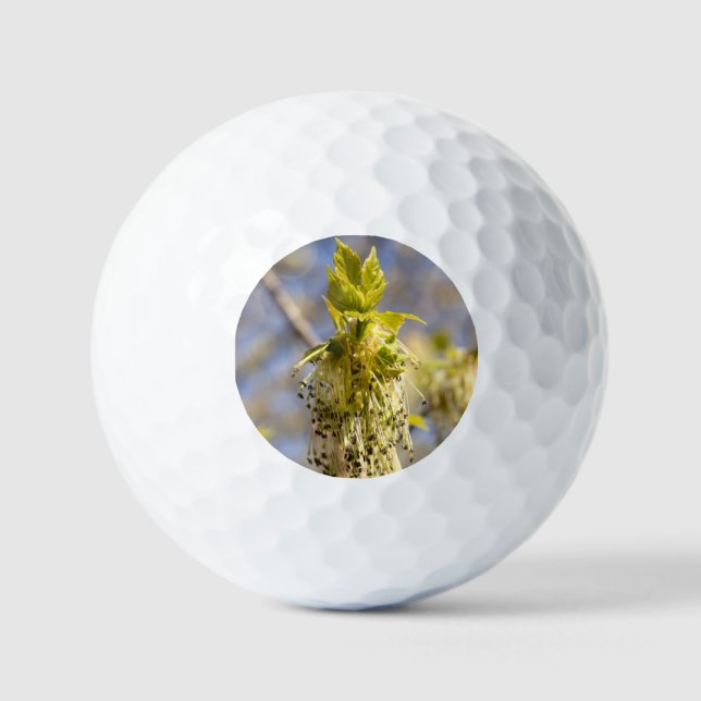 Cute leaves in spring photo golf balls (Front)