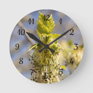 Cute leaves in spring photo round clock