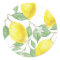 Cute Lemons and Leaves Stickers