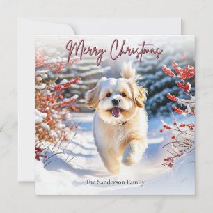 Cute Lhasa Apso Dog In Snow Merry Christmas Holiday Card