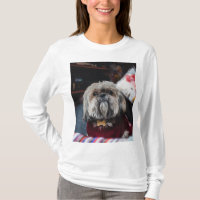 Cute lhasa apso puppy at Christmas b