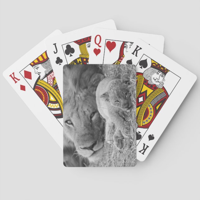 Cute Lion Cub Resting With Father Playing Cards (Back)