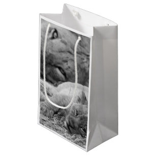 Cute Lion Cub Resting With Father Small Gift Bag