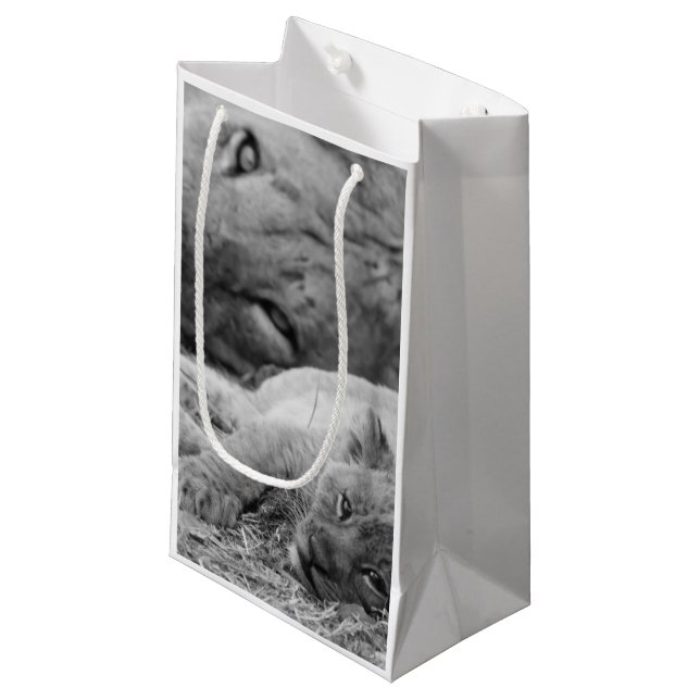 Cute Lion Cub Resting With Father Small Gift Bag (Front Angled)