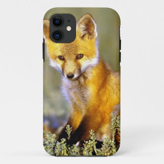 cute little baby red fox Case-Mate iPhone case