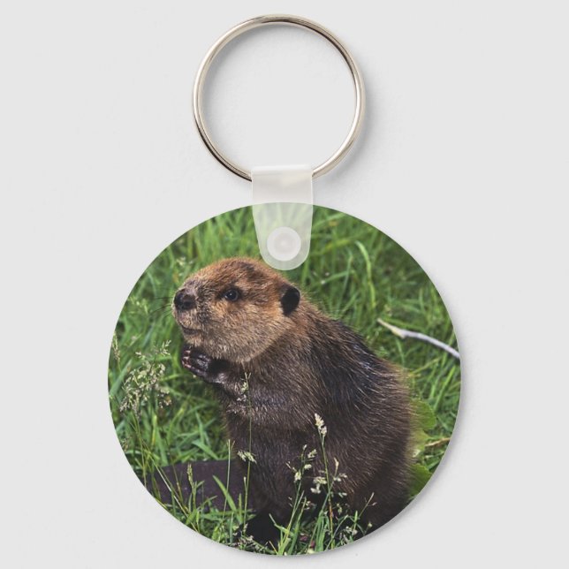 Cute Little Beaver Key Ring (Front)