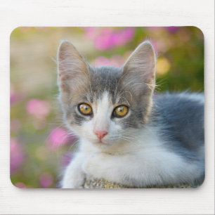 Cute Little Bicolor Kitten Fluffy Photo Cat Lovers Mouse Pad