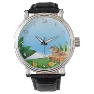 Cute Little Bird in a Field Watch