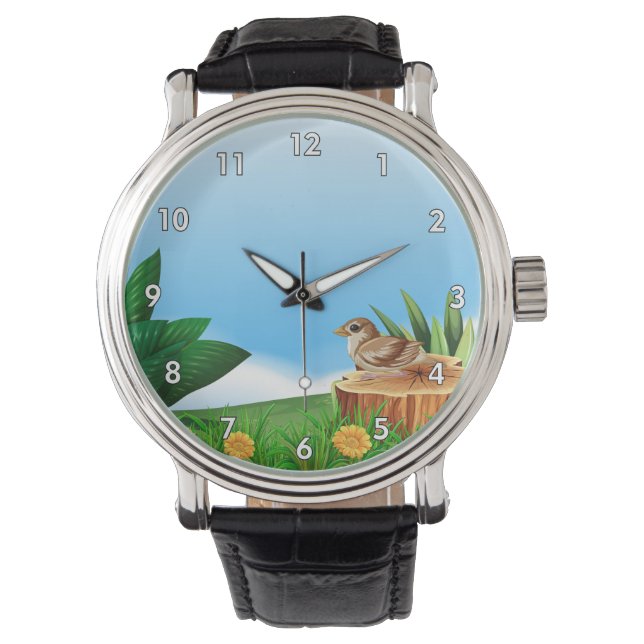 Cute Little Bird in a Field Watch (Front)