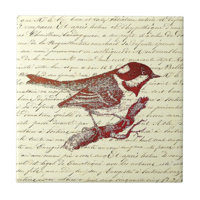 Cute Little Bird Vintage French Script  Tile (Front)