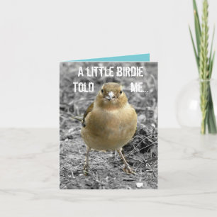Cute Little Birdie Happy Birthday Customise Card