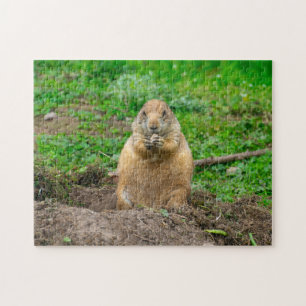 Cute Little Black-Tailed Prairie Dog Jigsaw puzzle