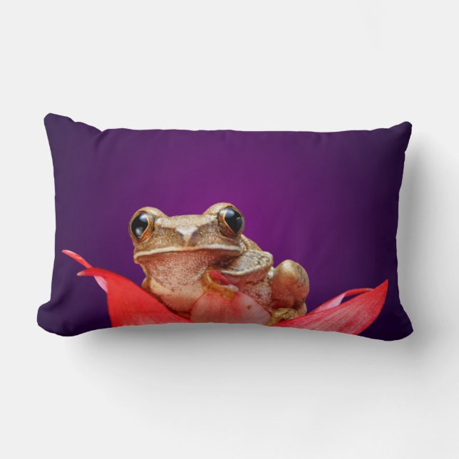 Cute Little Brown Marbled Reed Frog Deep Purple Lumbar Cushion (Front)