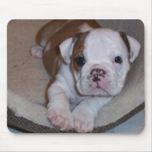 Cute Little Bulldog Puppy Mousepad
