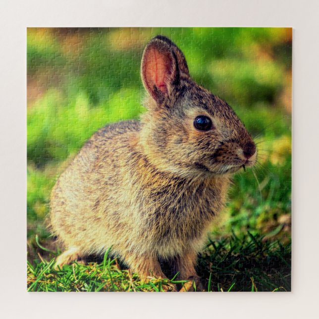 Cute Little Bunny - Sweet Jigsaw Puzzle (Horizontal)