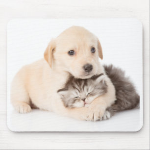 cute little cat sleeps in dog's hands mouse pad