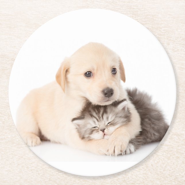 Cute little cat sleeps in dog's hands round paper coaster (Front)