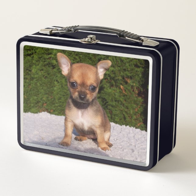 Cute Little Chihuahua Puppy Dog Metal Lunch Box (Front)