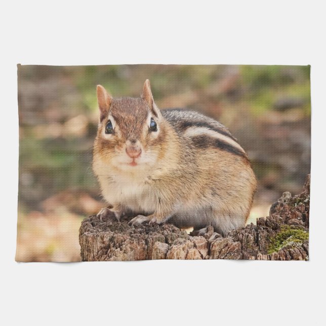 Cute Little Chipmunk Tea Towel (Horizontal)