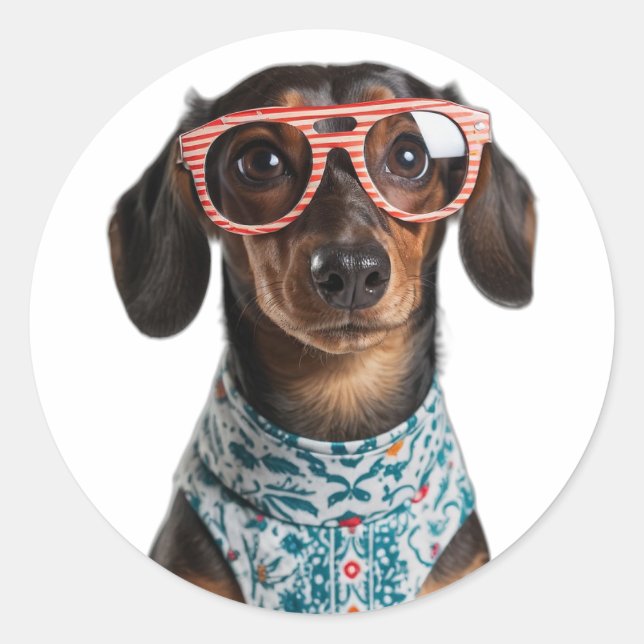Cute Little Dachshund With Red Glasses Classic Round Sticker (Front)