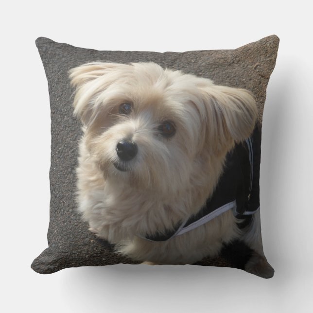 Cute little Dog Throw Pillow (Front)