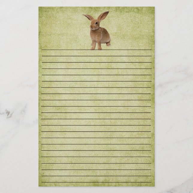 Cute Little Floppy Bunny- Stationery (Front)