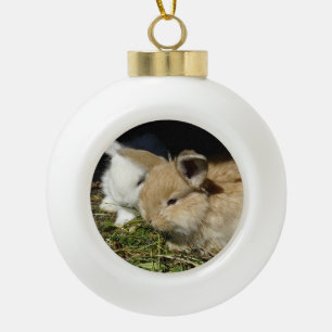 Cute little fluffy bunnies     ceramic ball christmas ornament