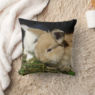 Cute little fluffy bunnies  cushion