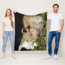 Cute little fluffy bunnies