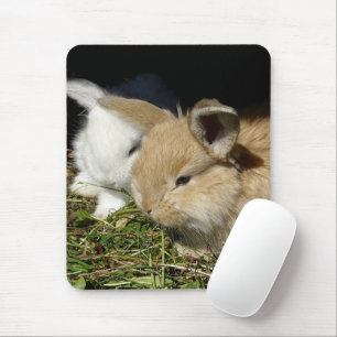 Cute little fluffy bunnies mouse pad