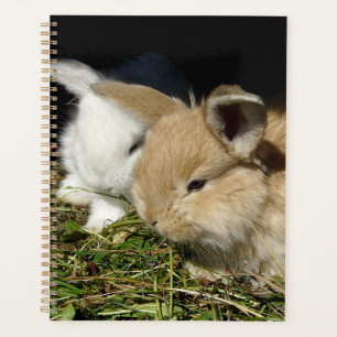 Cute little fluffy bunnies planner