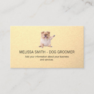 Cute Little Fluffy Dog Appointment Card