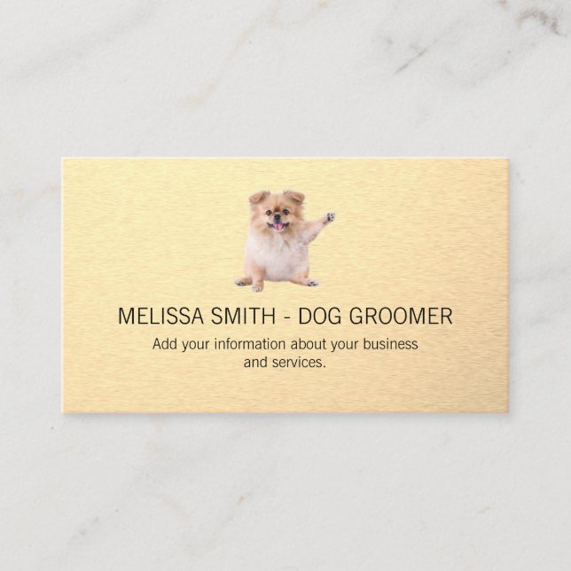 Cute Little Fluffy Dog Appointment Card (Front)