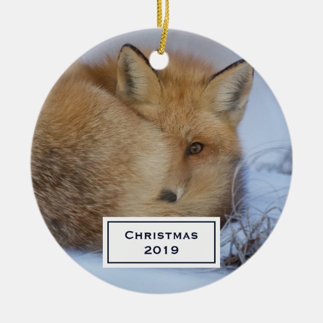 Cute Little Fox Curled Up Winter Photo Christmas Ceramic Tree Decoration (Front)