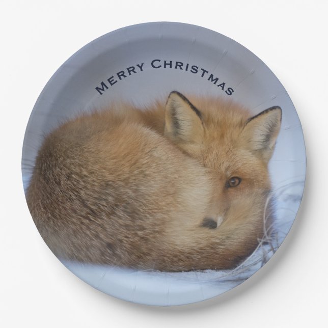 Cute Little Fox Curled Up Winter Photo Christmas Paper Plate (Front)