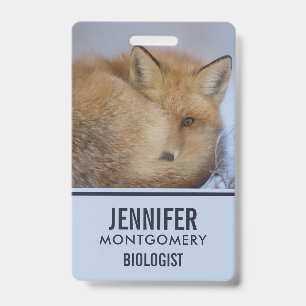 Cute Little Fox Curled Up Winter Photo ID Badge
