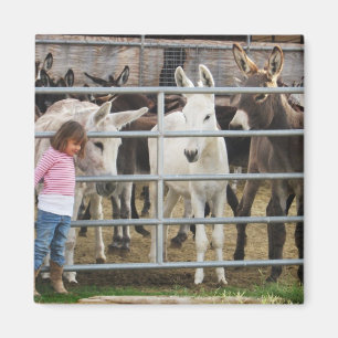 Cute Little Girl and Donkeys Magnet