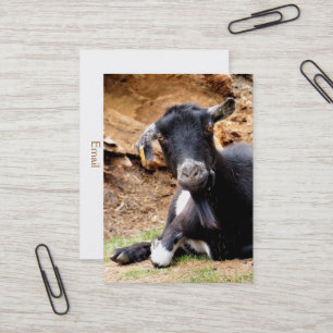 CUTE LITTLE GOAT BUSINESS CARD