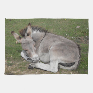 Cute Little Gray Donkey Baby Foal Laying Down Tea Towel