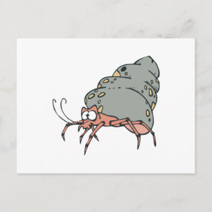cute little hermit crab postcard