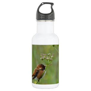 Cute little Hummingbird 532 Ml Water Bottle