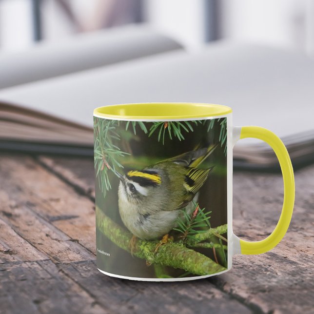 Cute Little Kinglet Causes a Stir in the Fir Mug (Golden-Crowned Kinglet Causing a Stir in the Fir 11 oz Coffee Mug Cover Photo 1.)