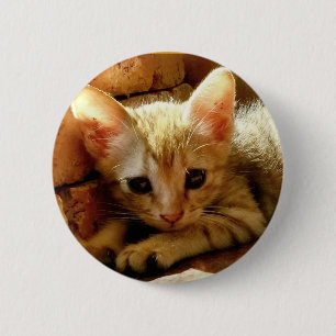 Cute Little Kitten 6 Cm Round Badge