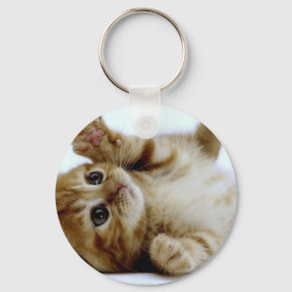 cute little kitten cat pet ginger tabby key ring