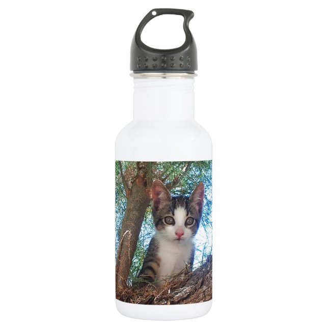 Cute little kitten playing in the woods 532 ml water bottle (Front)