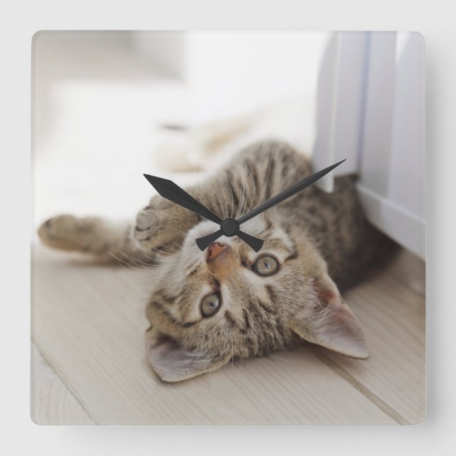 Cute Little Kitten Square Wall Clock (Front)
