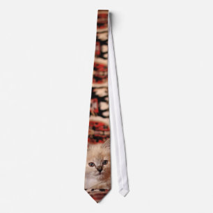 Cute Little Kitten Tie